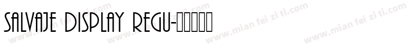 Salvaje Display Regu字体转换